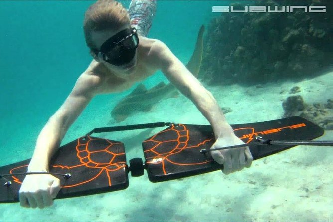 Hurghada Private Speedboat Dolphin Tour (Feb ) - Tour Highlights