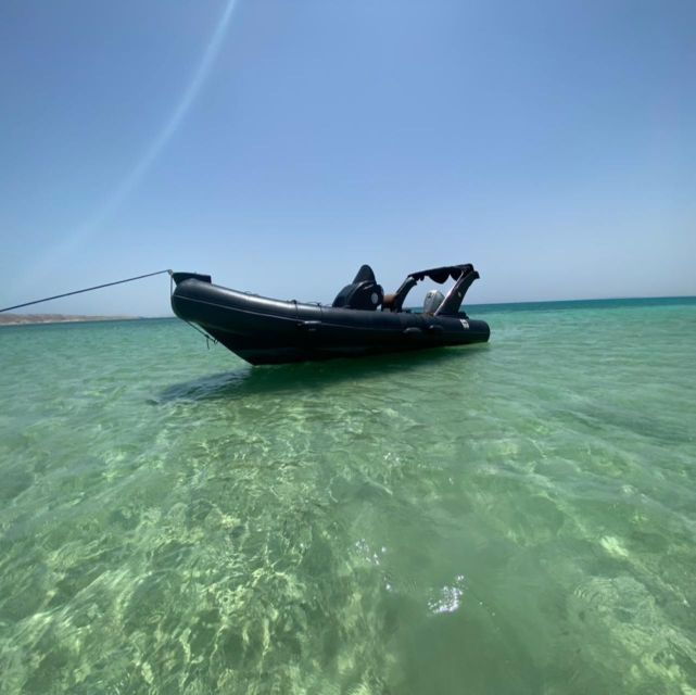 Hurghada: Private Speedboat to Dolphin House With Pickup - Experience Highlights