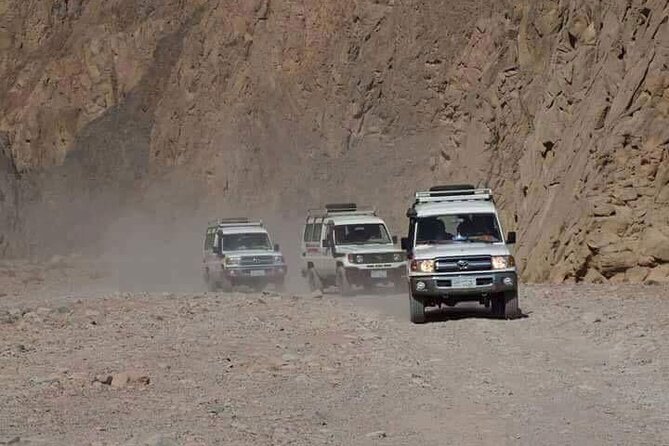 Hurghada Quad Bike Experience - Positive Review Highlights