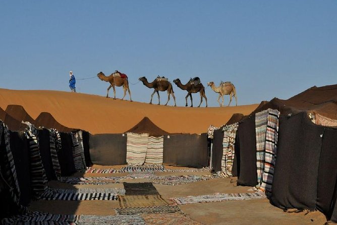 Hurghada: Quad Bike Safari, Bedouin Village & BBQ Feast - Viator Help Center and Tour Details