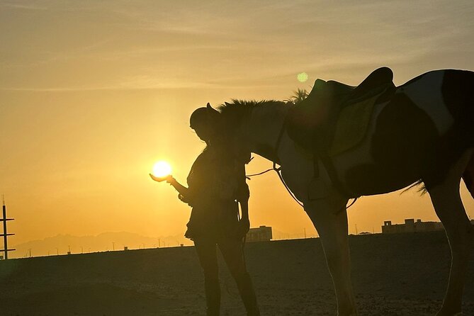Hurghada: Red Sea Coast Horseback Riding Tour With Meal - Tour Highlights