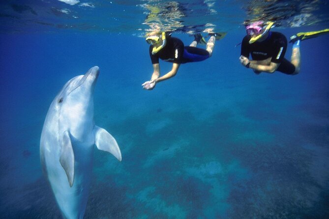 Hurghada Red Sea Fishing and Snorkeling Trip - Inclusions and Exclusions