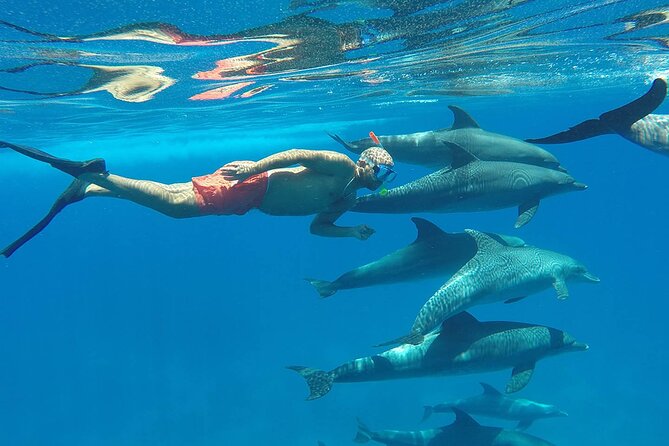 Hurghada Red Sea Fishing and Snorkeling Trip - Cancellation Policy