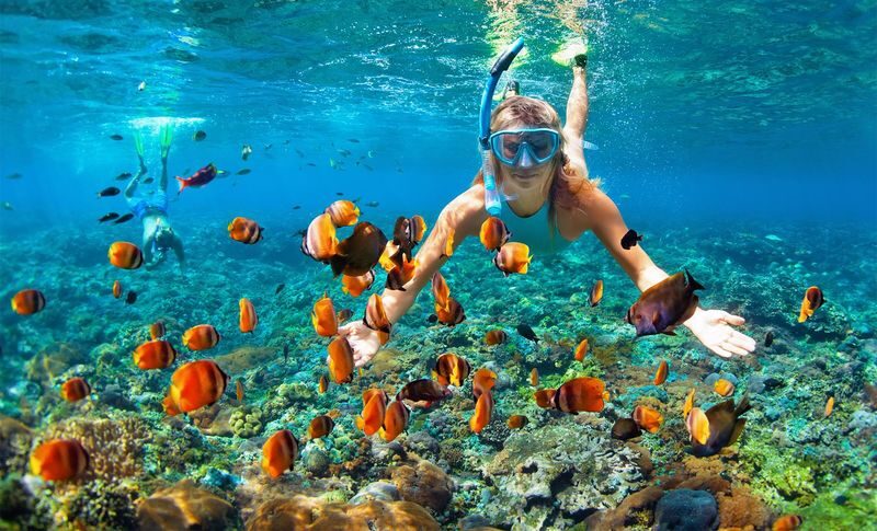 Hurghada Red Sea Full-Day Snorkeling & Dolphin Watching Tour - Dolphin House and the search for wild dolphins