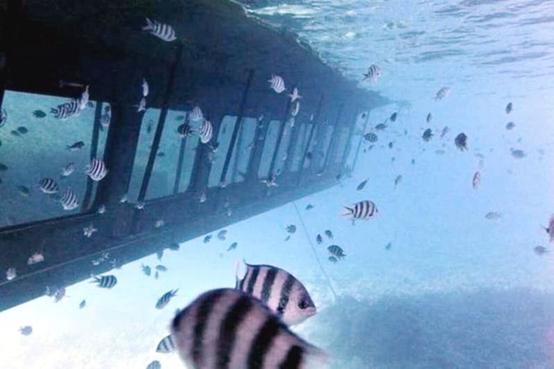 Hurghada Red Sea Half-Day Submarine Adventure - Is the price good value?