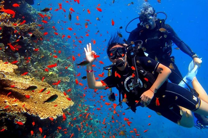 Hurghada Red Sea Novice and Experienced Diving Expedition - Pickup Information