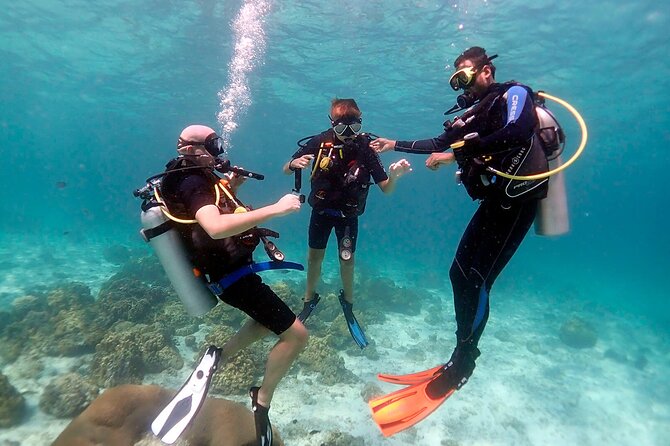Hurghada Red Sea Novice and Experienced Diving Expedition - Cancellation Policy