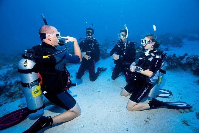 Hurghada Red Sea Novice and Experienced Diving Expedition - Meeting and Pickup Information