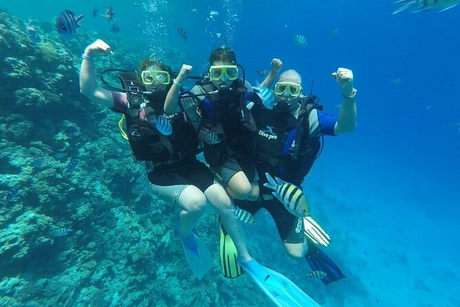 Hurghada Scuba Diving Full Day Boat Trip for Beginners With Lunch & Transfer - Health and Safety Guidelines