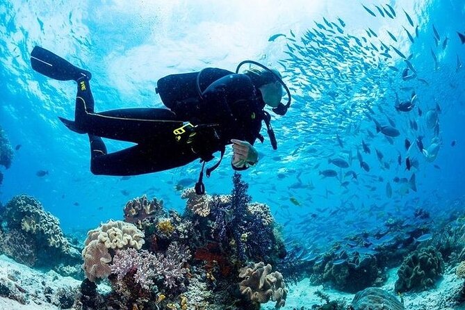 Hurghada Scuba Diving Full Day Boat Trip for Beginners With Lunch & Transfer - Trip Overview