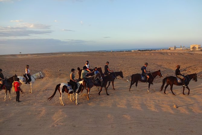 Hurghada: Sea and Desert Tour by Horse - Location and Duration