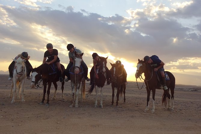 Hurghada: Sea and Desert Tour by Horse - Inclusions and Pickup Details