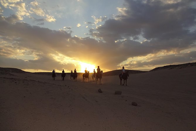 Hurghada: Sea and Desert Tour by Horse - Booking Information
