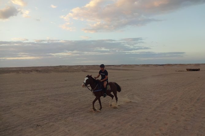 Hurghada: Sea and Desert Tour by Horse - Additional Details