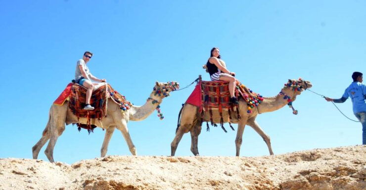 Hurghada: Sea & Desert Camel Ride W/Dinner, Show, Stargazing - Booking Details