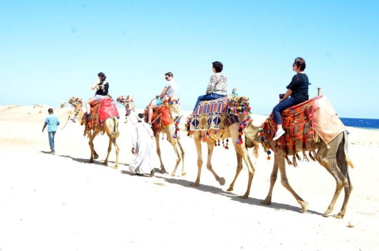 Hurghada: Sea & Desert Camel Ride W/Dinner, Show, Stargazing - Booking Details