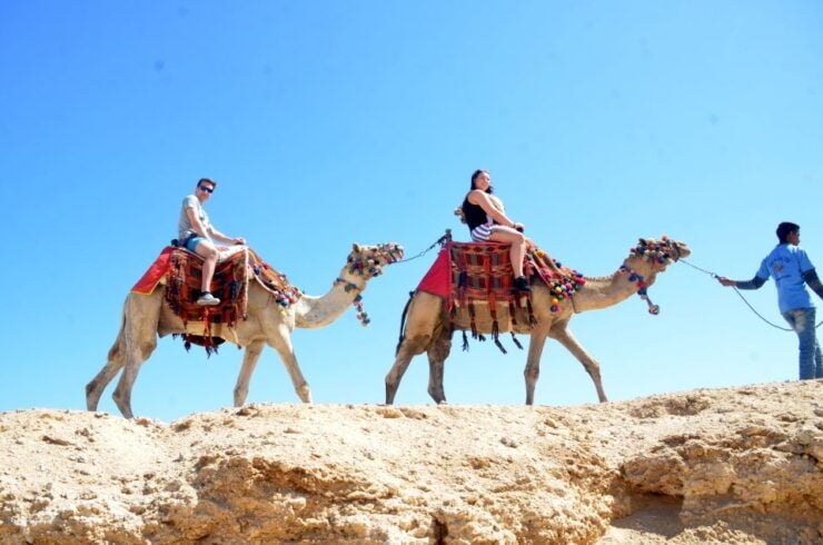 Hurghada: Sea & Desert Camel Ride W/Dinner, Show, Stargazing - Activity Highlights