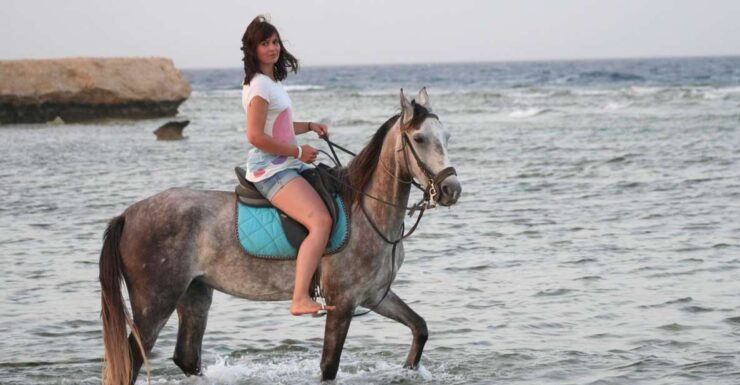 Hurghada: Sea & Desert Horse Tour, Stargazing, Dinner & Show - Booking Information