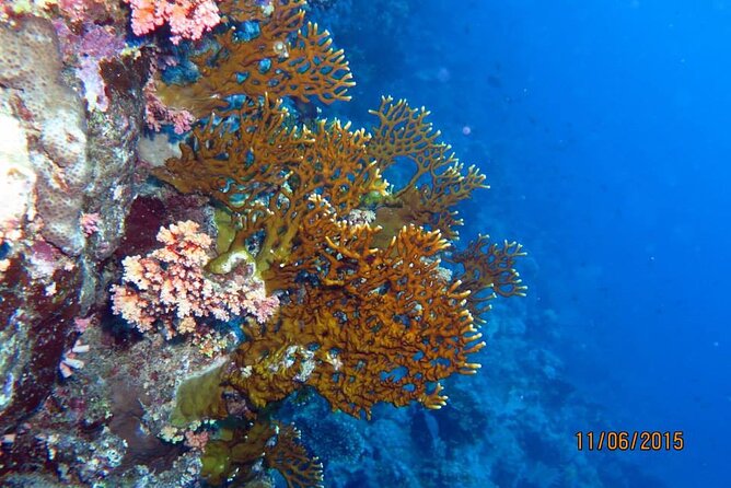 Hurghada Semisubmersible Coral Viewing With Snorkeling Stop - Experience Details