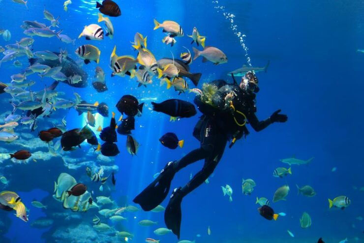 Hurghada: Sindbad Submarine Tour With Hotel Transfers - Activity Highlights