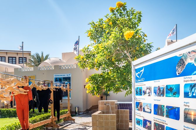 Hurghada Small-Group 4-Day Open Water Dive Course - Common Questions