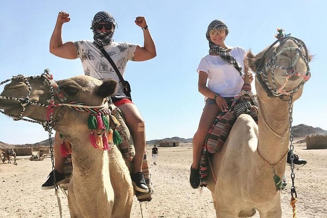 Hurghada Small-Group ATV Safari With Camel Ride and Tea - Traveler Reviews