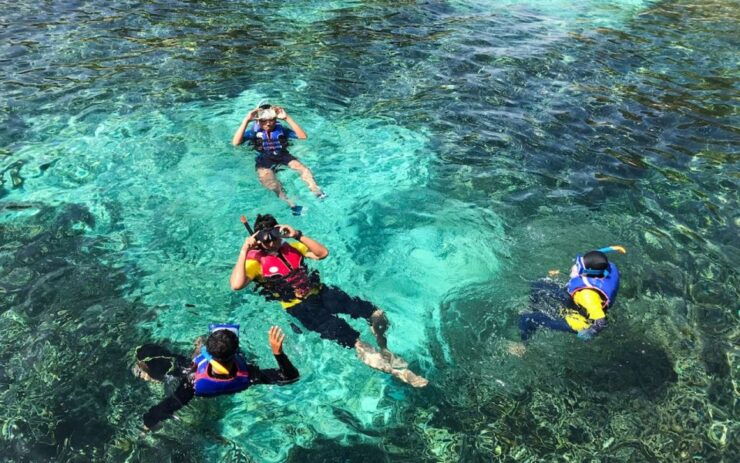 Hurghada: Snorkeling Trip & Parasailing With Lunch & Drinks - Experience Highlights