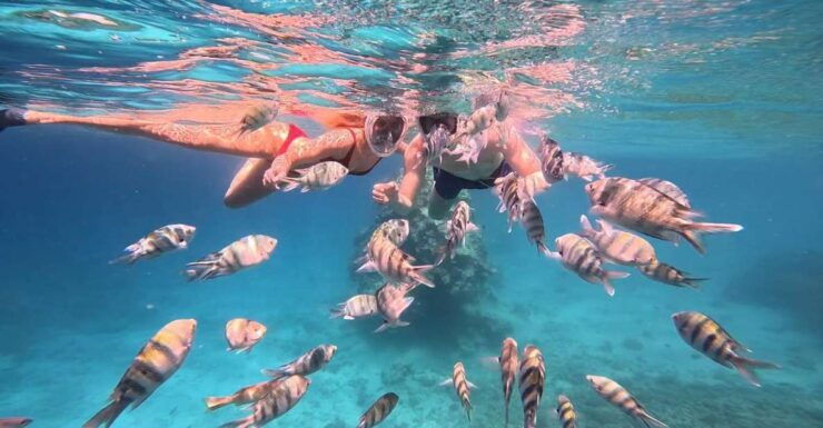 Hurghada: Snorkelling Trip by Speedboat With Hotel Pickup - Experience Highlights