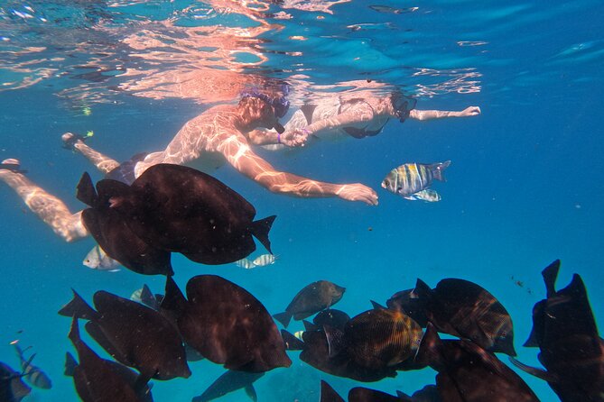 Hurghada Speedboat Trip to Orange Bay and Magawish Islands - Directions