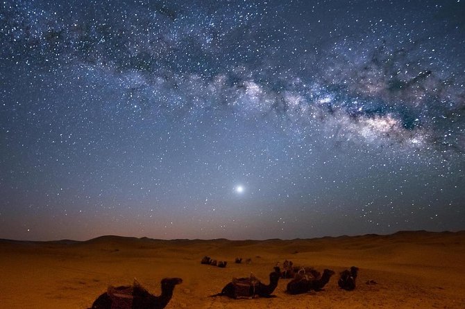 Hurghada: Star Watching Desert Adventure by Jeep With Dinner - Traveler Photos and Reviews