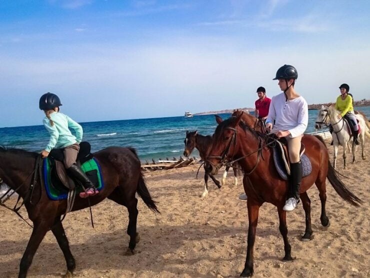 Hurghada: Sunrise Sea & Desert Horse Ride W Opt Breakfast - Booking Details