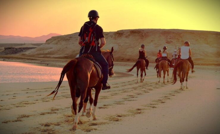 Hurghada: Sunset Sea, Desert Horse W Opt, Dinner, Stargazing - Activity Details