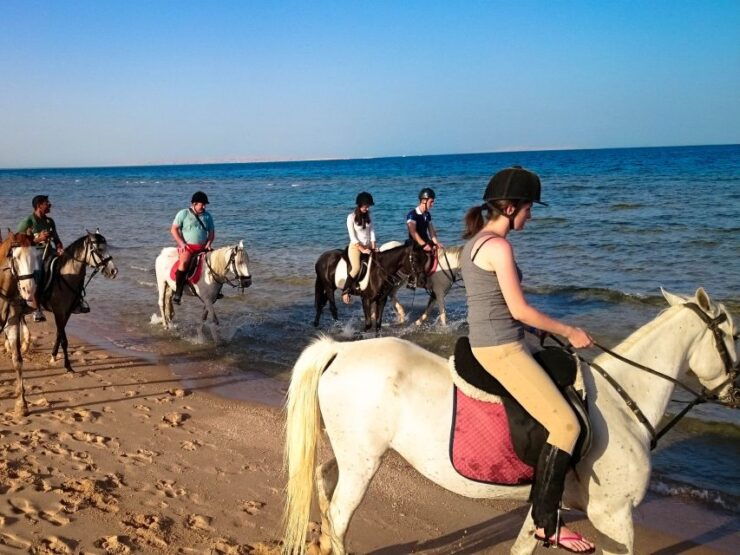 Hurghada: Sunset Sea, Desert Horse W Opt, Dinner, Stargazing - Tour Highlights