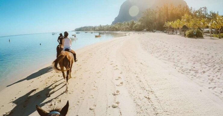 Hurghada : Two Hours Sun & Sea Horse Riding With Transfers - Booking Information
