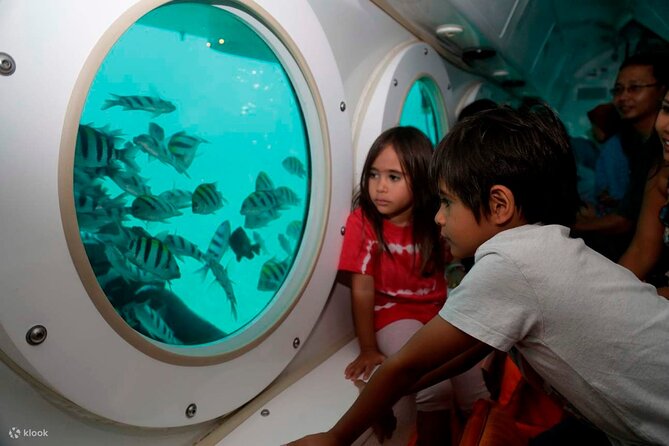 Hurghadas Semi Submarine and Snorkeling Experience - Good To Know