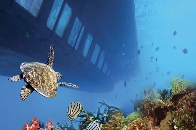 Hurghadas Semi Submarine and Snorkeling Experience - Frequently Asked Questions