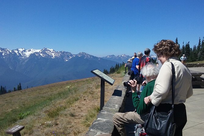 Hurricane Ridge Olympic National Park From Seattle - Wildlife and Nature Exploration