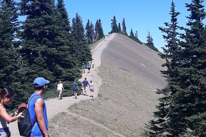 Hurricane Ridge Olympic National Park From Seattle - Snowcapped Mountains and Spectacular Views