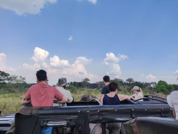 Hurulu Eco Park: 3-Hour Morning or Evening Safari - Wildlife Sightings in Hurulu Eco Park