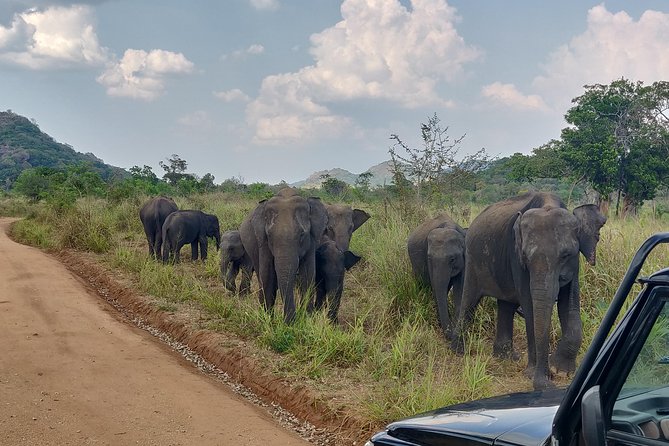 Hurulu Eco Park Entrance Ticket - Traveler Restrictions