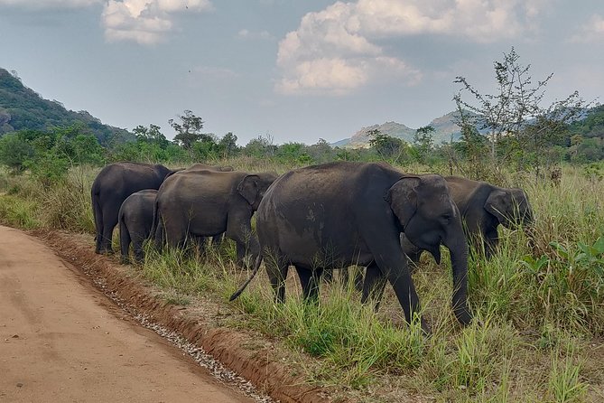 Hurulu Eco Park Entrance Ticket - Cancellation Policy