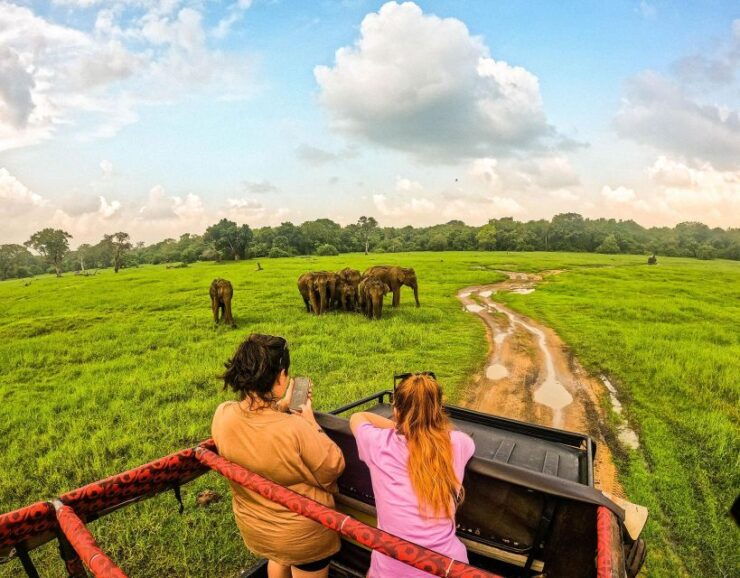 Hurulu Eco Park: Group Half-Day Safari on a Budget - Benefits of Group Safari Tours