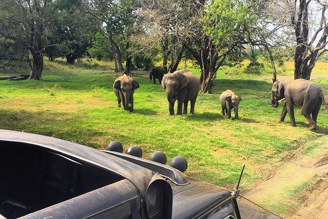Hurulu Eco Park Half Day Wild Elephant Safari in Sri Lanka - Safari Duration