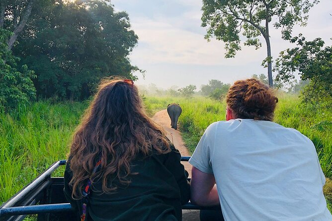 Hurulu Eco Park Half Day Wild Elephant Safari in Sri Lanka - Safety Precautions