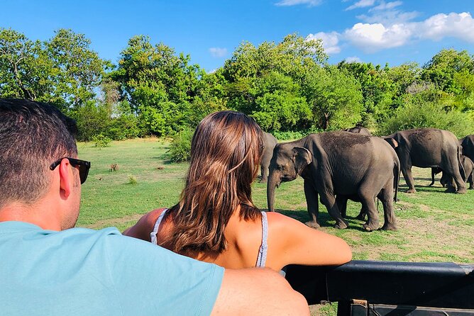 Hurulu Eco Park Half Day Wild Elephant Safari in Sri Lanka - Booking Information