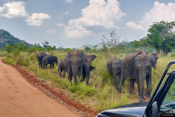 Hurulu Eco Park Private Safari - Included in the Safari