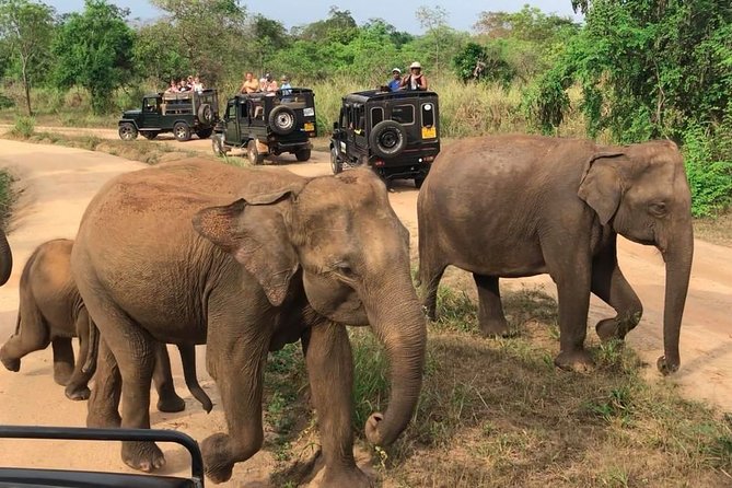 Hurulu Eco Park Private Safari - Cancellation Policy