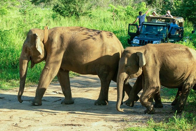 Hurulu Eco Park Private Safari - Note