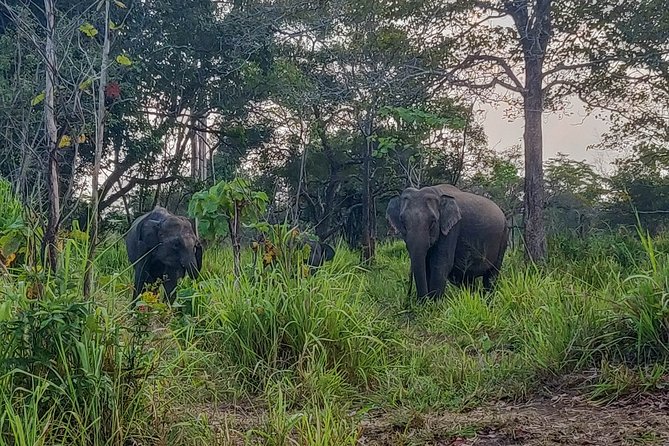 Hurulu Eco Park Private Safari - Directions