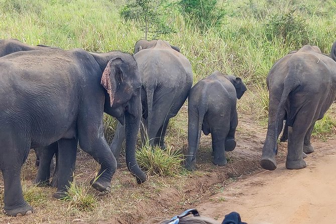 Hurulu Eco Park Private Safari - The Sum Up